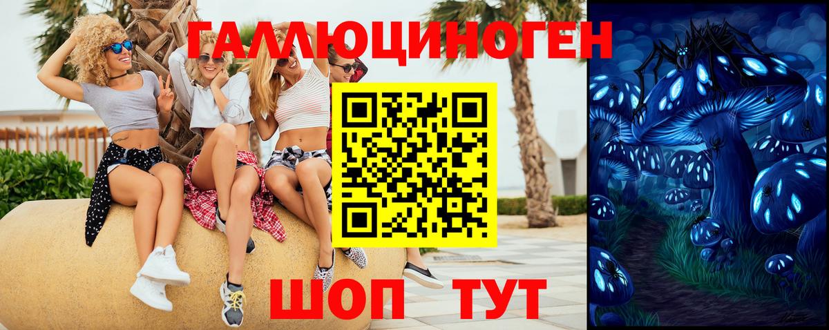 Саратов  Псилоцибиновые грибы Cubensis  Вход с VPN 